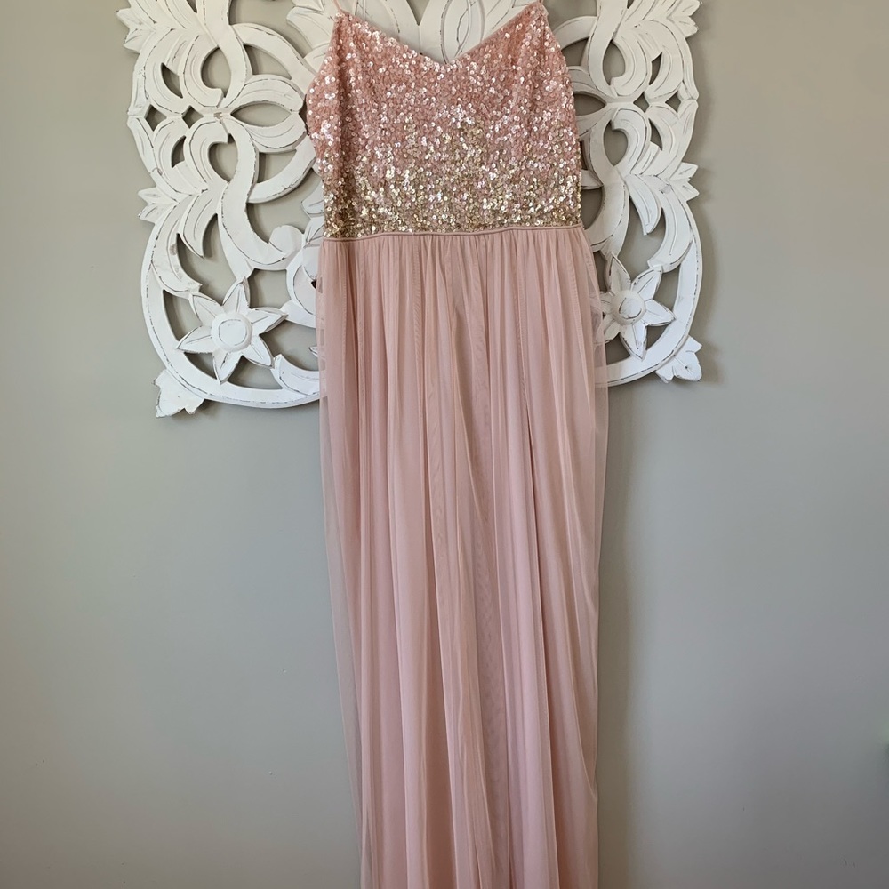 Adrianna Papell Sequined Tulle Gown (Blush)